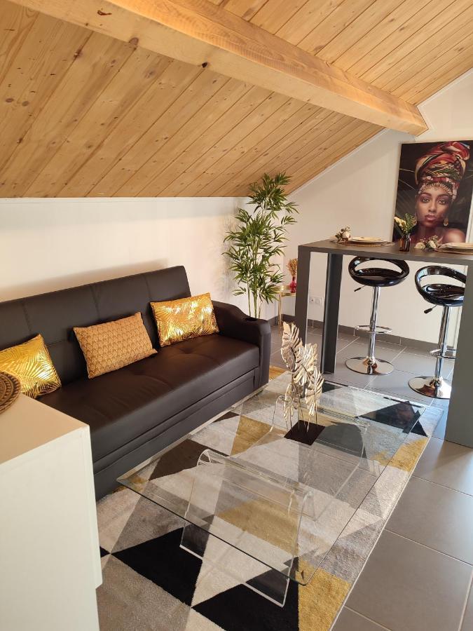 La Maison Blanche Apartment Limoges Luaran gambar